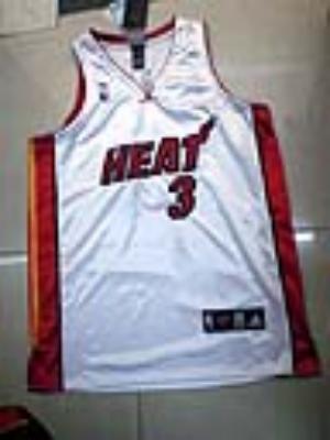 Miami heat-2